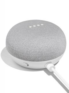 Google Home Mini Chalk/Gris
