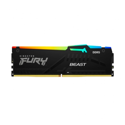Memoria Kingston Fury Beast 16Gb Ddr5-5600Mhz Pc5-44800 Cl40, 1.25V, 288-Pin, Xmp 3.0, Rgb