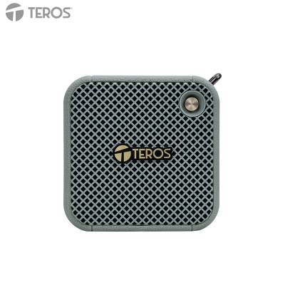 Parlante Inalámbrico Teros Legacy Leg-6051Gr, Bt 5.3, 8W, 1500 Mah, Usb