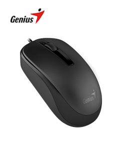 Mouse Genius Dx-120 Usb Negro