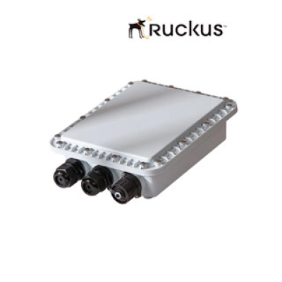 Convertidor De Fibra Óptica Ruckus P01-0300-0000, Para Ap Serie T300/T301.