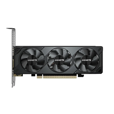 Vga 8G Gb Rtx5060 Lp Oc Gddr7