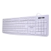 Teclado Estándar Te-4069S, Multimedia, Usb 2.0, Español, Color Blanco Lado00