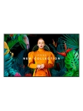 Pantalla Samsung QMC Smart Signage 43, LCD LED VA UHD (3840x2160) Quantum Lite 4K