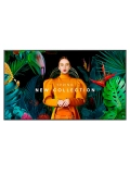 Pantalla SAMSUNG QM55C Smart Signage 55, LCD LED VA UHD (3840x2160) Quantum Lite 4K