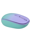 Mouse óptico inalámbrico TEROS TE-1224S, 1000 DPI, receptor USB, 4 botones