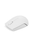 Mouse Inalambrico Compacto Lenovo 300, Color Gris Nube.